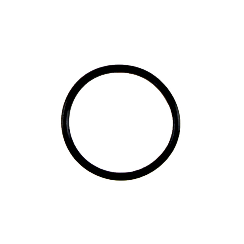 Fel-Pro Nissan Sentra 73593 Engine Oil Pump Pickup Tube O-Ring