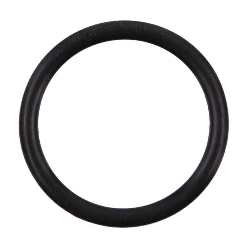 Fel-Pro BMW 328i 36056 Engine Coolant Thermostat Gasket