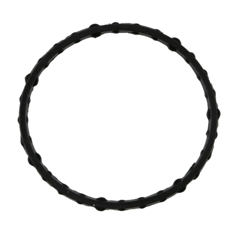 Fel-Pro Ford F-150 36117 Engine Coolant Outlet Gasket