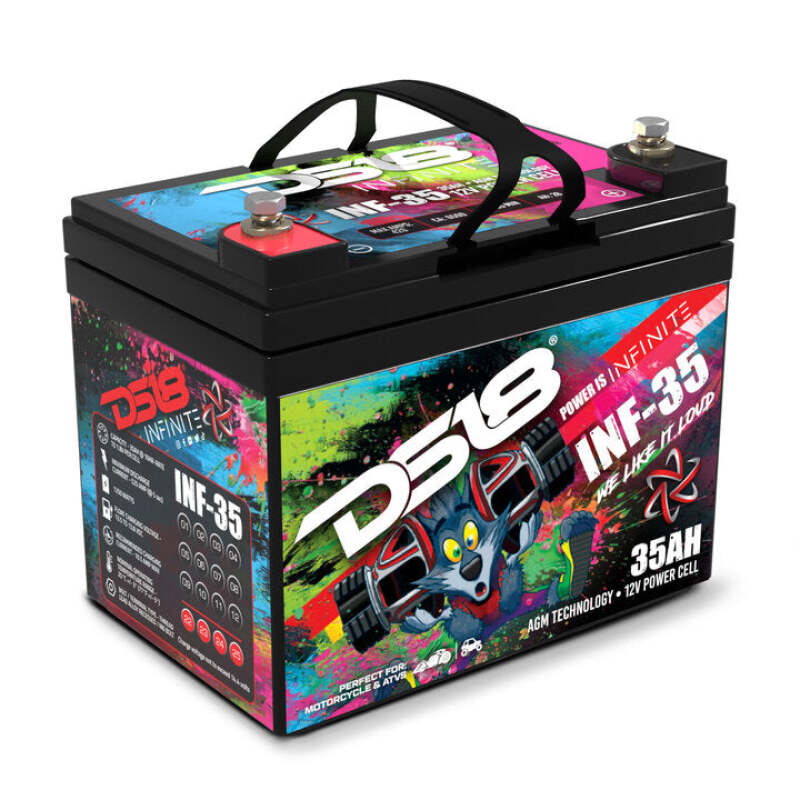 DS18 1250 Watts 35 AH Infinite AGM Power Cell Battery
