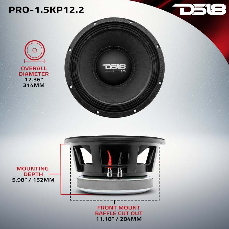 DS18 12in 1500 Watts RMS 2 ohm Mid-Bass Loudspeaker