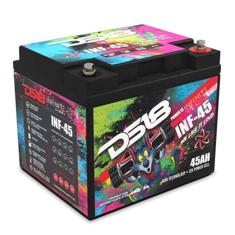DS18 1500 Watts 45 AH Infinite AGM Power Cell Battery